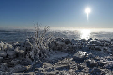 Icy branches over steam on lake