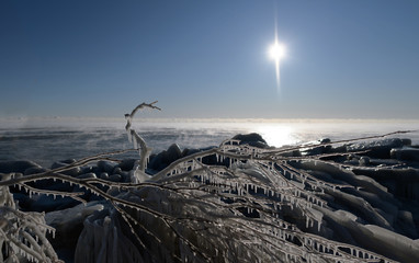 Icy Branch over steam on lake with sunrise