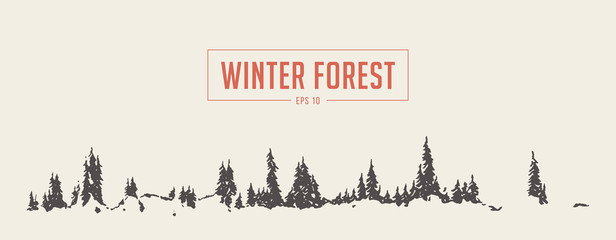 Winter fir forest background vector drawn sketch