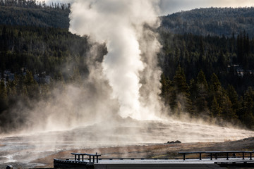 Old Faithful, Yellowstone exploding hot smoke before eruption in morning.