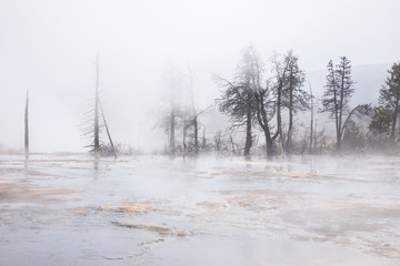 Inside flood area of geyser basin covered by smoke.