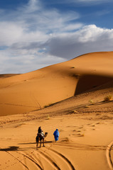 Tuareg Berber man leading a tourist on camel through the Erg Chebbi desert in Morocco