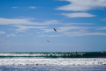 Beautiful aerial view of surfers surfing in Naranjo Beach 