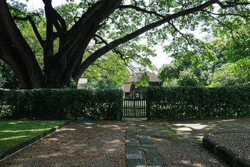 Natural landscape with Exterior architecture of traditional Northern Lanna house among big tree and green park- Chiang Mai, Thailand