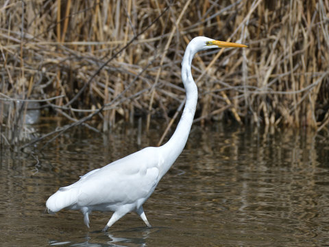 1 413 Best 右向き Images Stock Photos Vectors Adobe Stock