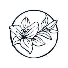 Lily flowers. Blooming lily. Card or floral background with blooming lilies. Silhouette of a lily flowers on a white background. Vector illustration. -