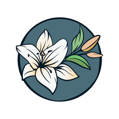 Fototapeta premium Lily flowers on white background.