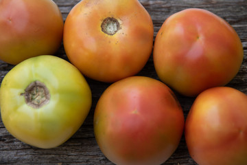 Unripe tomatoes on a rustic wooden background