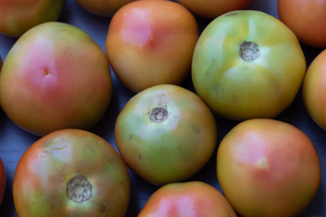 Unripe tomatoes on a rustic wooden background