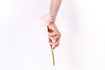 Cropped image of a girl in jeans and a T-shirt holding a red flower in her hands with a manicure on a white background