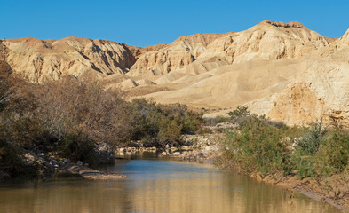 wadi nahal zin stream in the negev highlands in israel full of rainwater surrounded by vegetation and the barren desert mountains