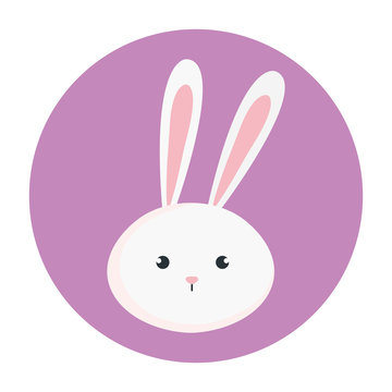 head of cute rabbit in frame circular