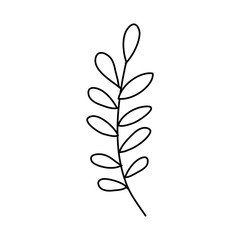 branch with leafs nature ecology isolated icon