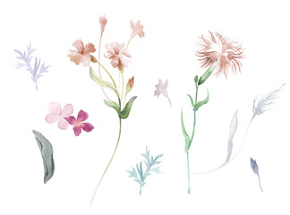 Flowers watercolor illustration.Manual composition.Big Set watercolor elements.