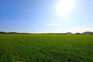Fototapeta na wymiar 아름다운 녹색의 목초지
