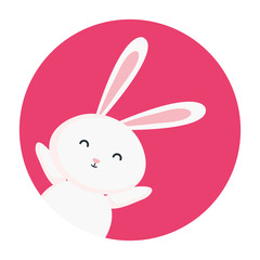 cute rabbit animal in frame circular