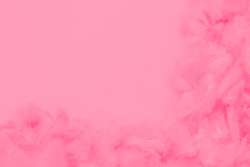 Beautiful abstract colorful white and pink feathers on white background and soft white feather texture on pink pattern, pink background banners 	