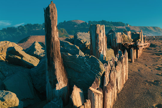 driftwood beach