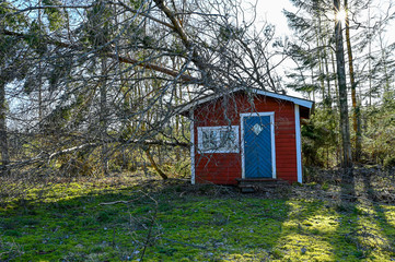 trees fallen over cottage near forest