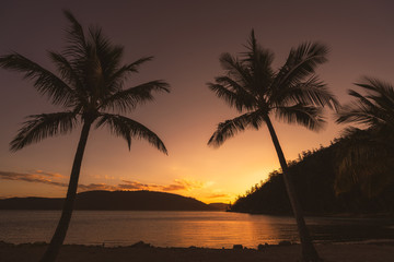 Naklejka na ściany i meble sunset on the beach with palm trees