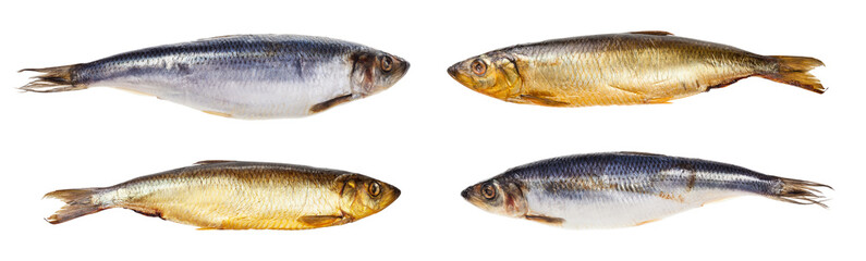 cold-smoked and pickled herring fishes isolated