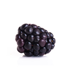 blackberry or fresh blackberry on a background new.