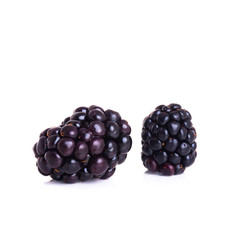 blackberry or fresh blackberry on a background new.