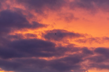 Pink dawn in the sky with clouds