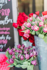 Pink and Purple Tulips and Red Roses at a Flower Stand - 328228148