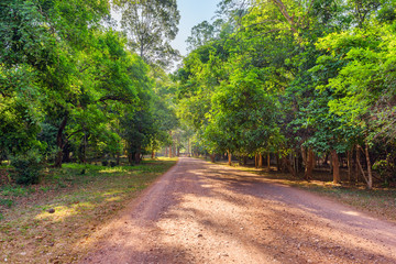 Fototapeta na wymiar Awesome morning view of road through rainforest