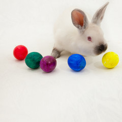 cute Easter light rabbit on a light background with a basket and Easter eggs