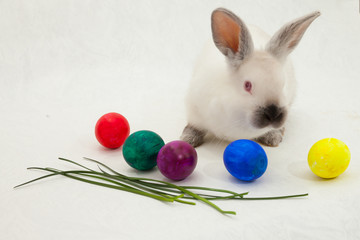 cute Easter light rabbit on a light background with a basket and Easter eggs