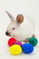 cute Easter light rabbit on a light background with a basket and Easter eggs
