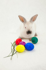 cute Easter light rabbit on a light background with a basket and Easter eggs