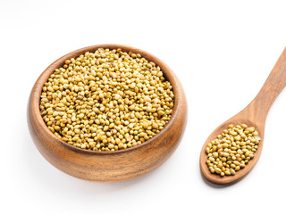 Spice coriander (Coriandrum sativum) seeds in wooden bowl and spoon isolated on white background. Healthy eating concept