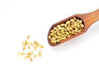 Spice coriander (Coriandrum sativum) seeds in wooden scoop isolated on white background. Diet and weight loss concept