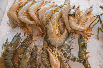 Different seafood frozen and fresh in a beautiful way. Crabs, clam, fish