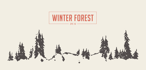 Winter fir forest background vector drawn sketch