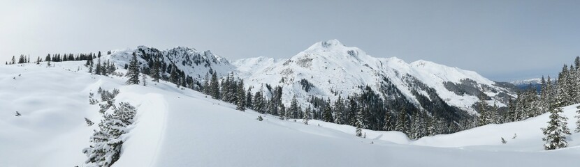 Direkt am Siedeljoch in der Wildschönau