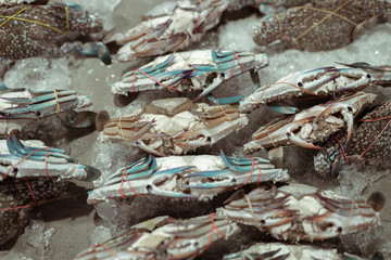 Different seafood frozen and fresh in a beautiful way. Crabs, clam, fish