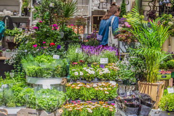 Fototapeta na wymiar Woman shopping at a plant and flower farmer's market stall. 