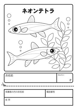 128 BEST 鑑賞魚 IMAGES, STOCK PHOTOS u0026 VECTORS  Adobe Stock