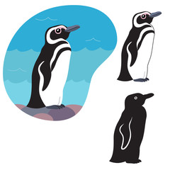 Magellanic penguin stands on stones against the blue sea