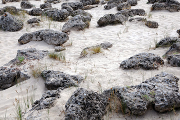 Rocks and stones on the sandy soil