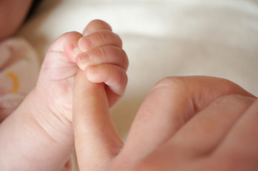 Photo material: baby's hand holding a finger