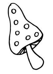 Amanita mushroom sketch. Hand-drawn Doodle Vector illustration