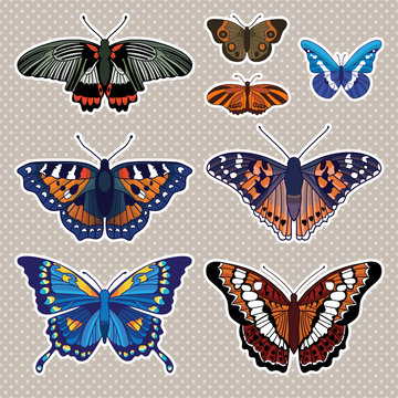 Vector set with butterflies isolated on white background