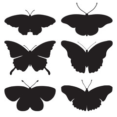 Vector set with butterfly silhouettes isolated on white background