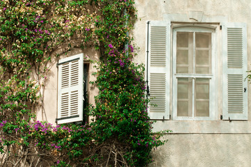 Fototapeta na wymiar Windows and wall with ivy