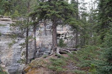 The Maligne river as it flows through the deep gorges of the Maligne Canyon in Jasper National Park in Alberta Canada